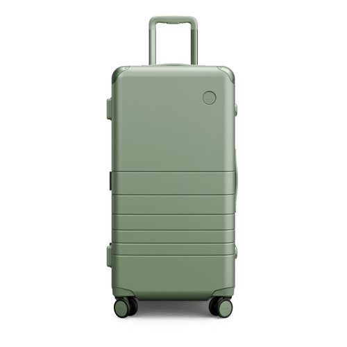Hybrid Trunk Large