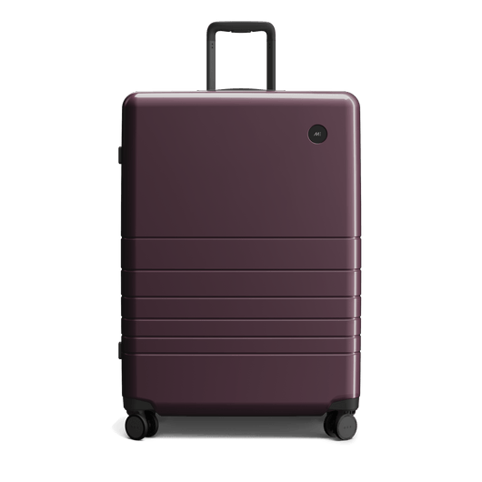 Check-In Large