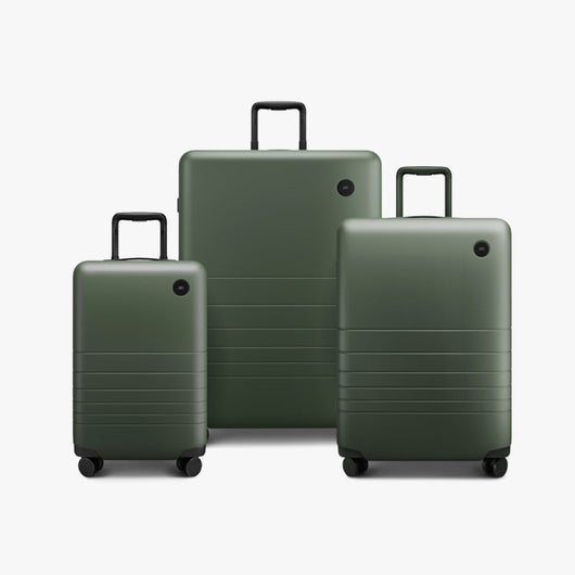 Carry-On and Check-In Set